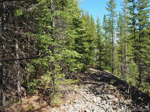 0 Gamble Gulch Black Hawk, CO 80422