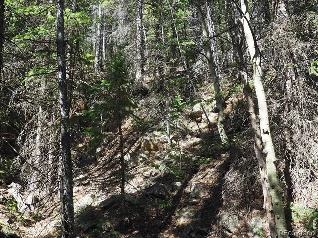 0 Gamble Gulch Black Hawk, CO 80422