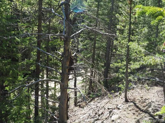 0 Gamble Gulch Black Hawk, CO 80422