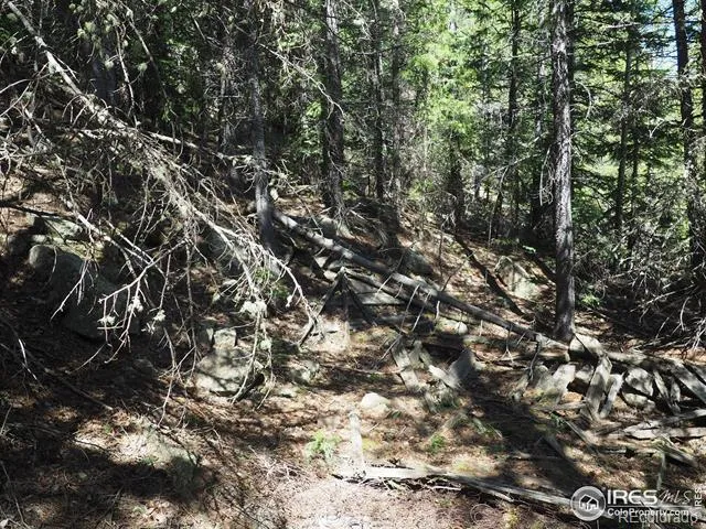 0 Gamble Gulch Black Hawk, CO 80422