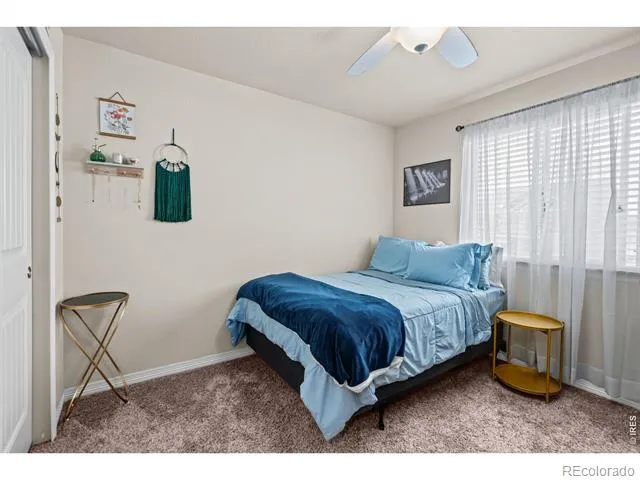 5599 Clarence Drive Windsor, CO 80550
