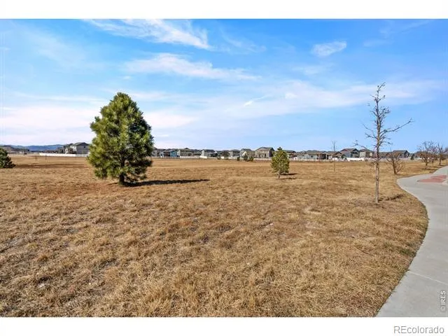 5599 Clarence Drive Windsor, CO 80550