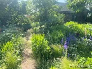 4047 Madison Street Denver, CO 80216