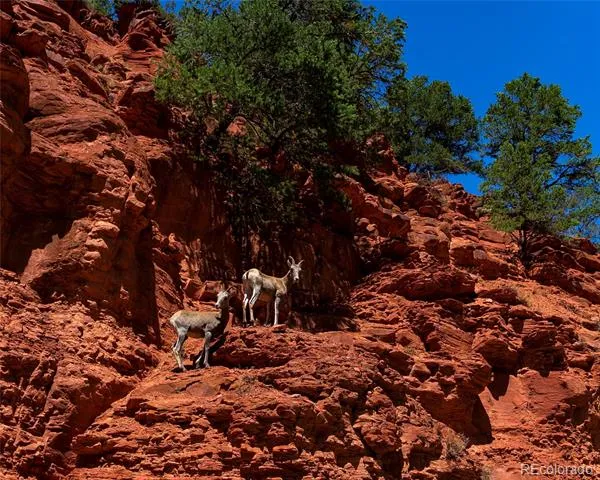 1200 Frying Pan Road Basalt, CO 81621