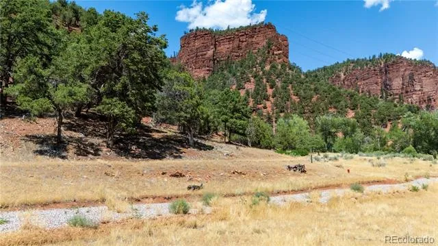 1200 Frying Pan Road Basalt, CO 81621
