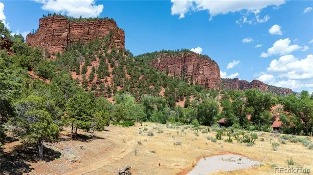 1200 Frying Pan Road Basalt, CO 81621