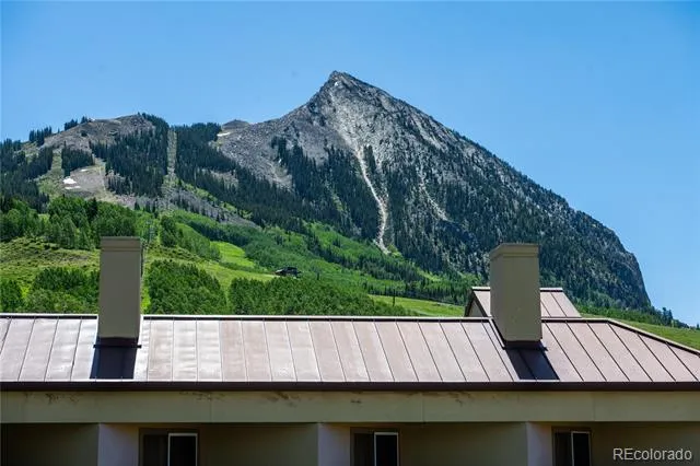 500 Gothic Road #605 Mt Crested Butte, CO 81225