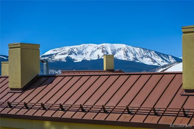 500 Gothic Road #605 Mt Crested Butte, CO 81225