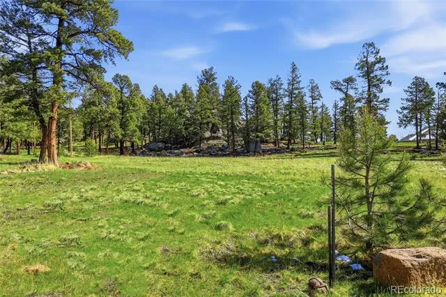 24073 Peak Drive Conifer, CO 80433