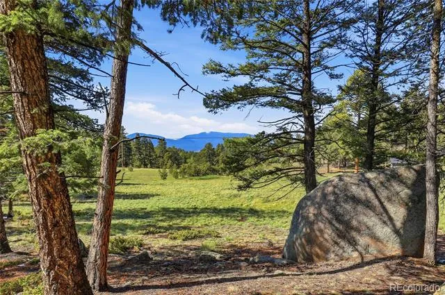 24073 Peak Drive Conifer, CO 80433