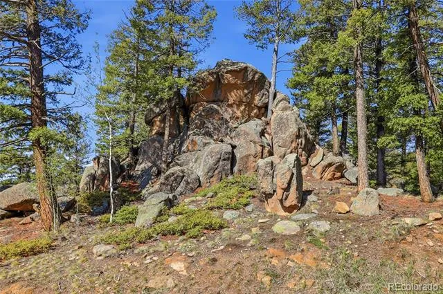 24073 Peak Drive Conifer, CO 80433