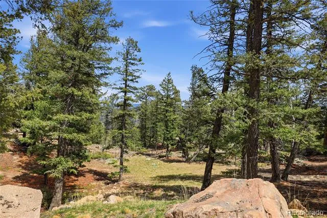 24073 Peak Drive Conifer, CO 80433