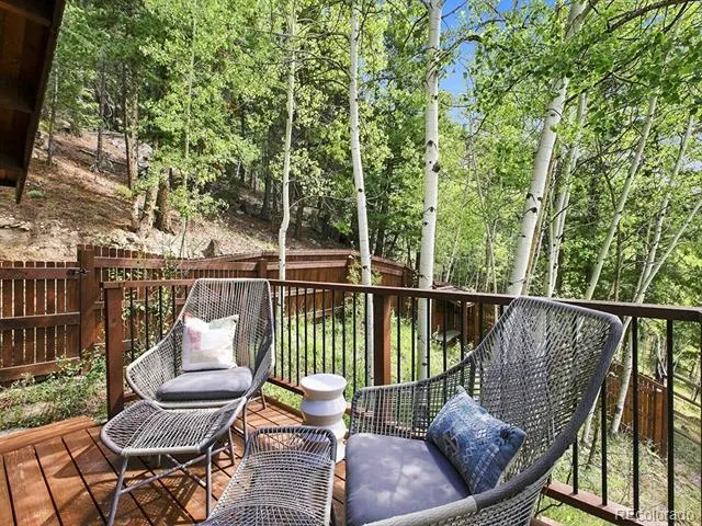 3742 Witter Gulch Road Evergreen, CO 80439