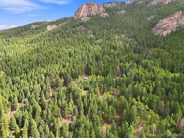 3742 Witter Gulch Road Evergreen, CO 80439