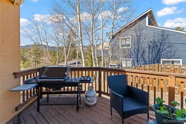 211 Appleby Street Bailey, CO 80421