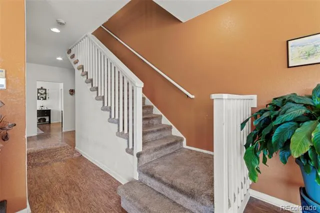211 Appleby Street Bailey, CO 80421