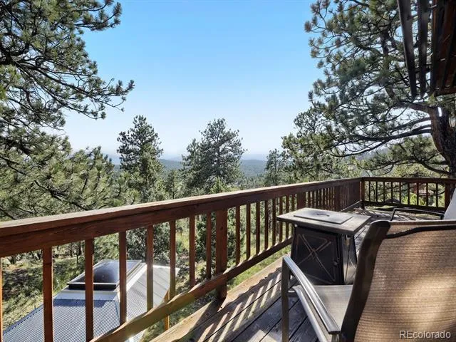 479 Doe Circle Bailey, CO 80421
