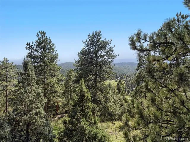 479 Doe Circle Bailey, CO 80421