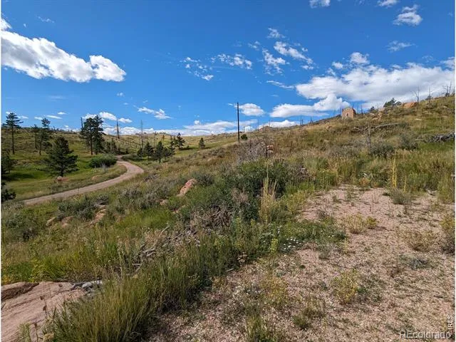 1737 Eiger Road Livermore, CO 80536