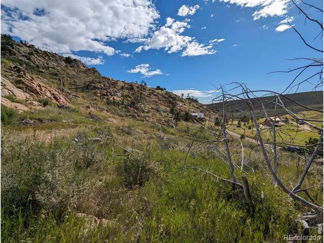 1737 Eiger Road Livermore, CO 80536