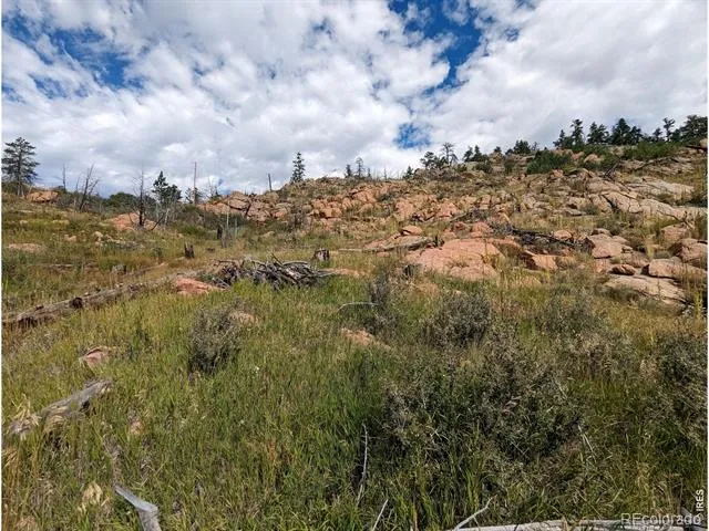 1737 Eiger Road Livermore, CO 80536