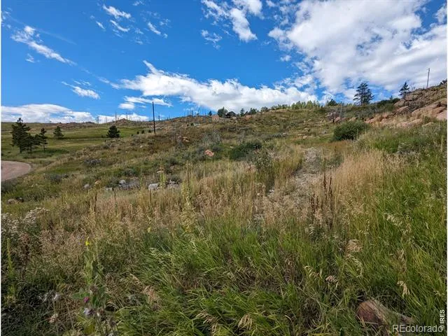 1737 Eiger Road Livermore, CO 80536