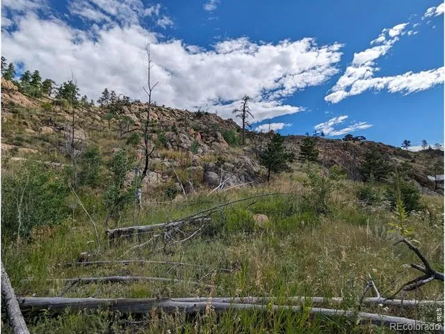 1737 Eiger Road Livermore, CO 80536
