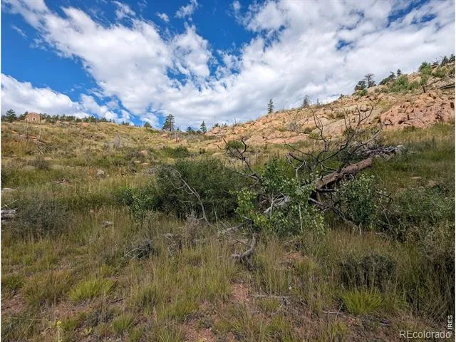 1737 Eiger Road Livermore, CO 80536