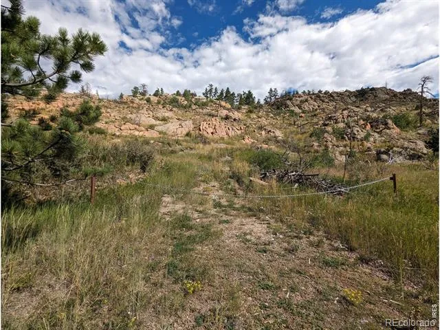 1737 Eiger Road Livermore, CO 80536