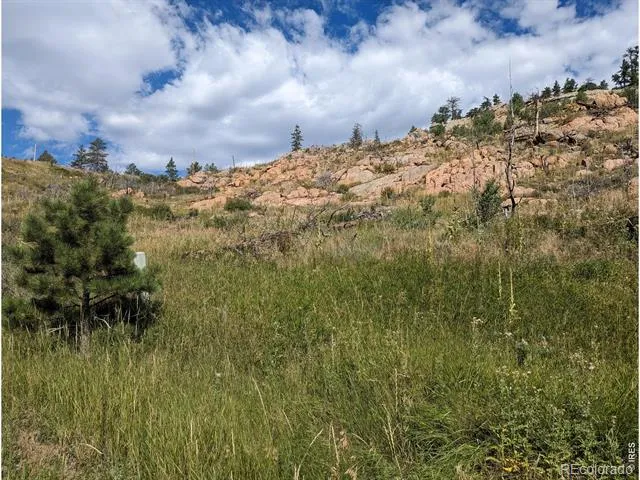 1737 Eiger Road Livermore, CO 80536