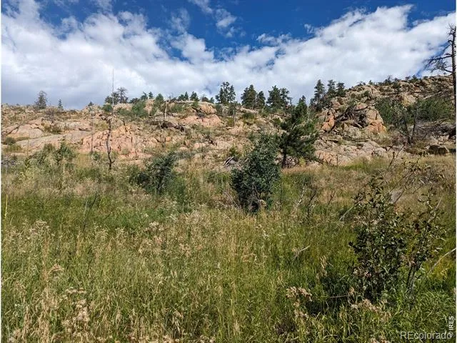 1737 Eiger Road Livermore, CO 80536