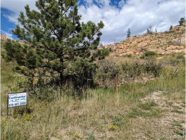 1737 Eiger Road Livermore, CO 80536