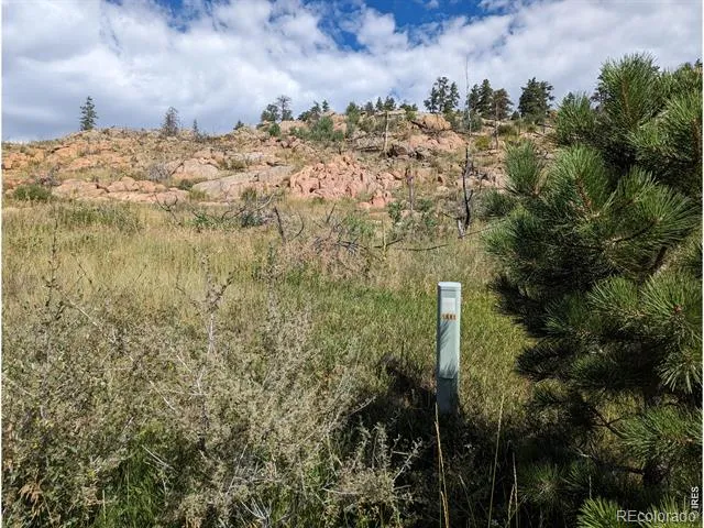 1737 Eiger Road Livermore, CO 80536