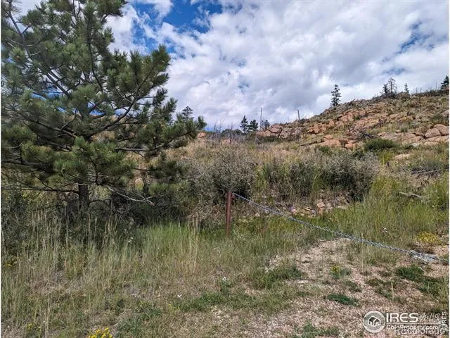 1737 Eiger Road Livermore, CO 80536