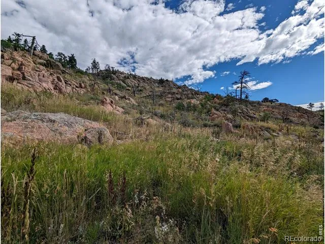 1737 Eiger Road Livermore, CO 80536