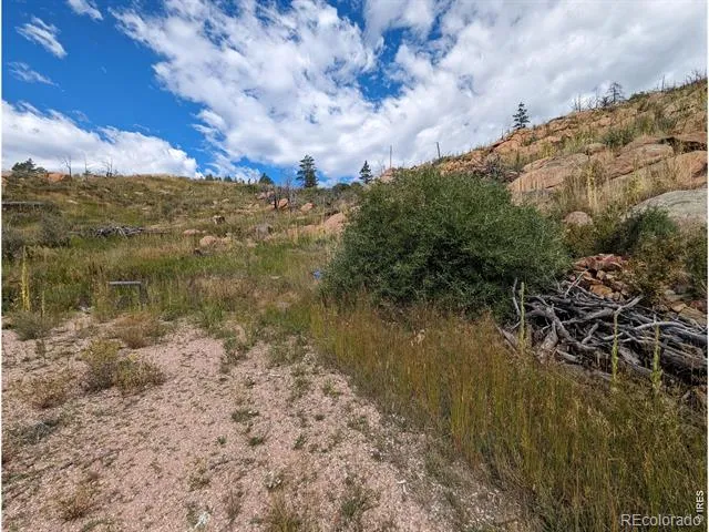 1737 Eiger Road Livermore, CO 80536