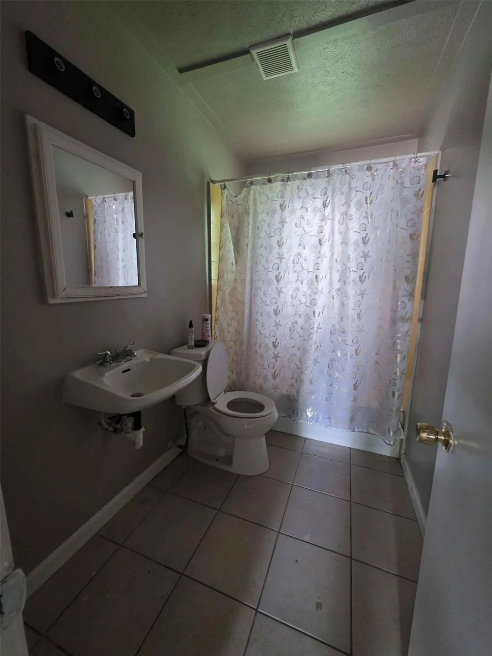 10101 Chadwick Street San Jacinto, TX 77029