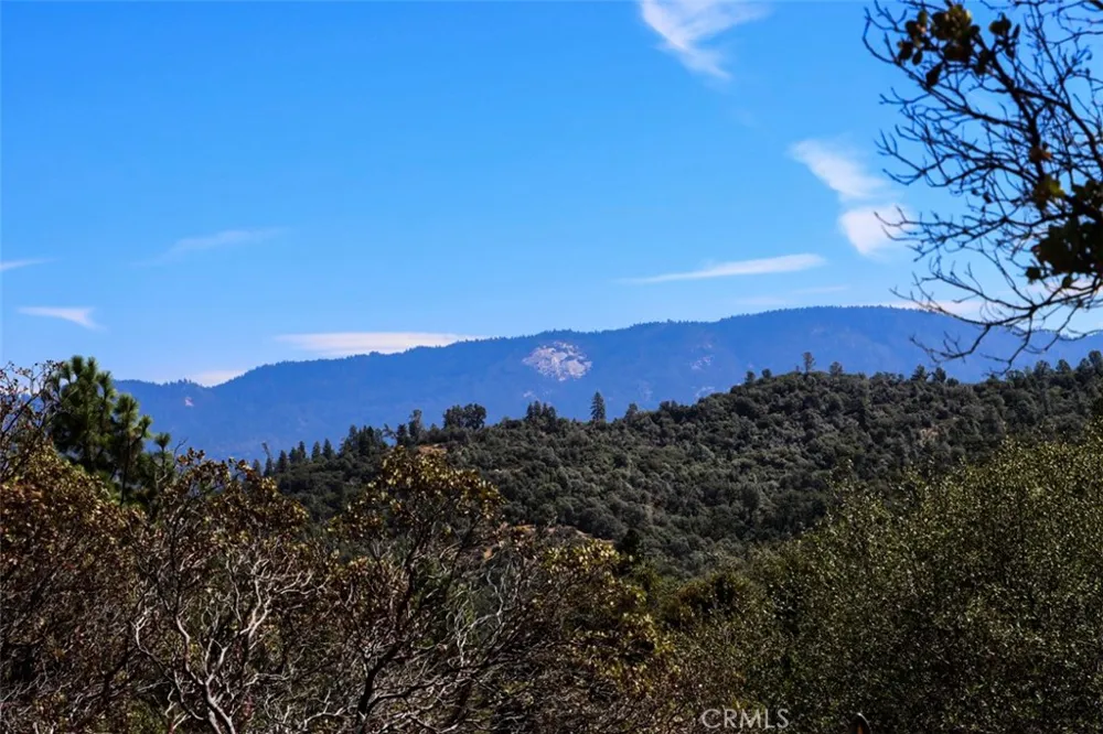 1956 Wild Horse Mariposa, CA 95338