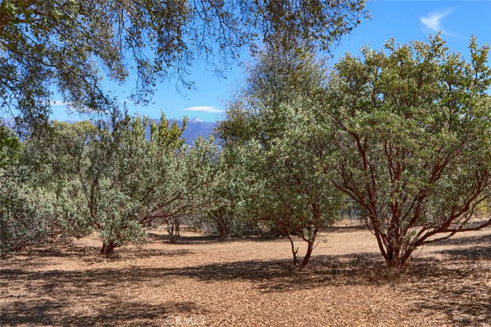 1956 Wild Horse Mariposa, CA 95338
