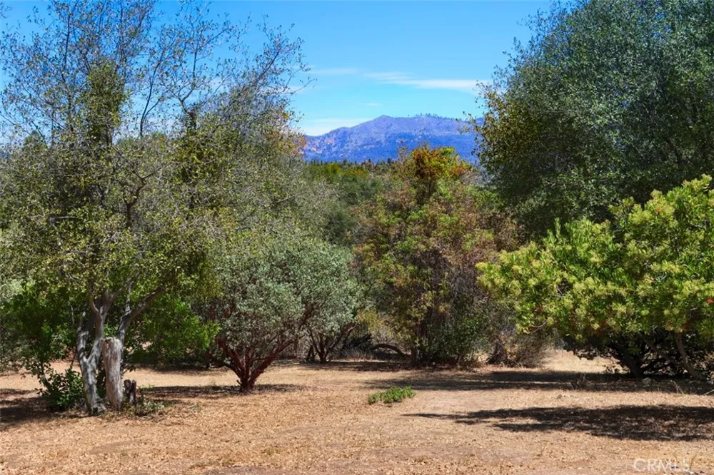 1956 Wild Horse Mariposa, CA 95338