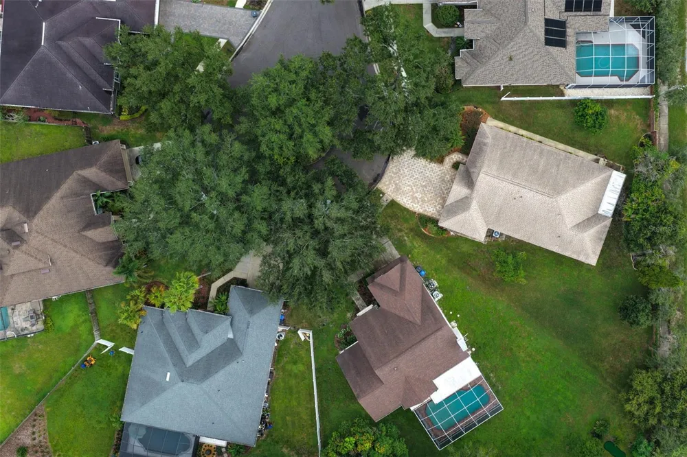 9703 HIDDEN COVE COURT Tampa, FL 33618