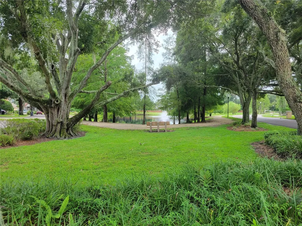 9703 HIDDEN COVE COURT Tampa, FL 33618
