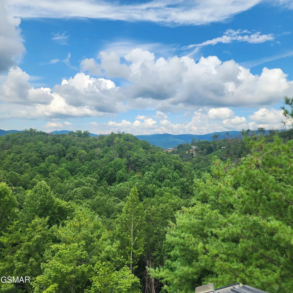2065 Spurling Road Sevierville, TN 37876
