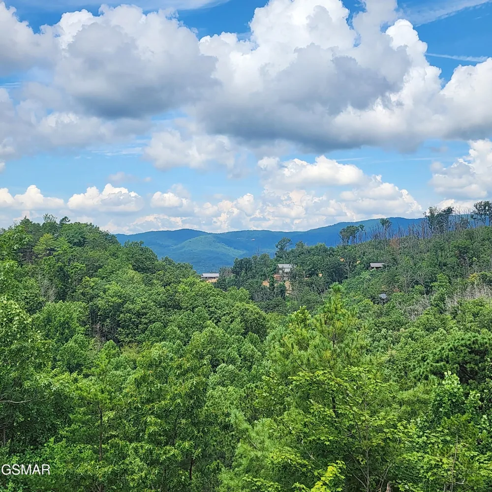 2065 Spurling Road Sevierville, TN 37876