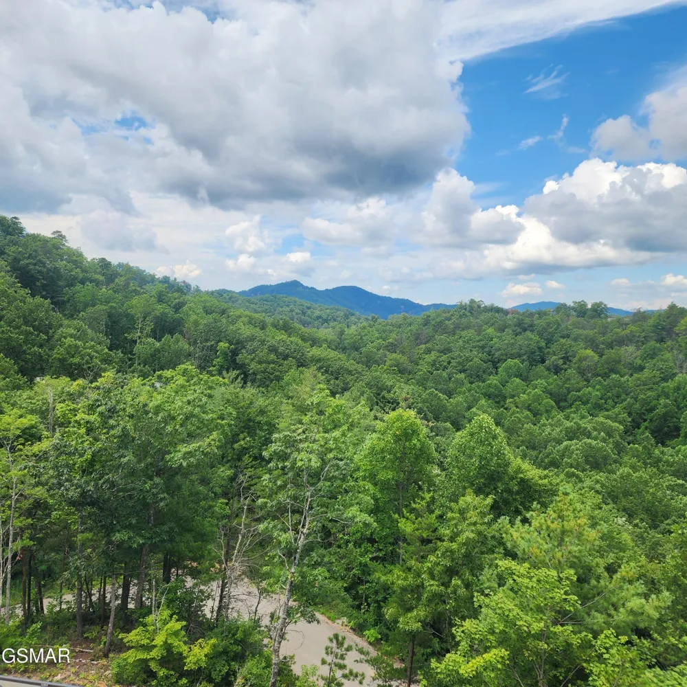 2065 Spurling Road Sevierville, TN 37876