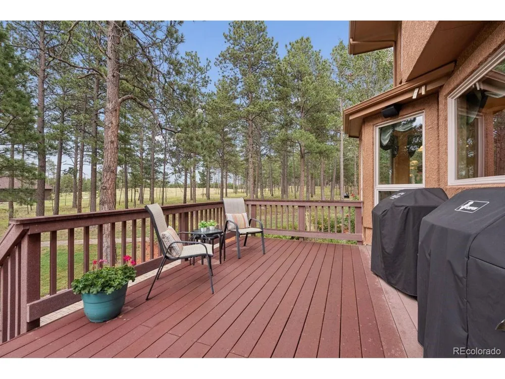 14953 Snowy Pine Pt Colorado Springs, CO 80908