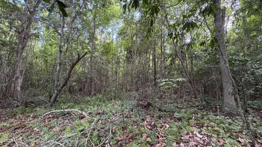 Oyster Shell (lot 23) Avenue Ocean Springs, MS 39564