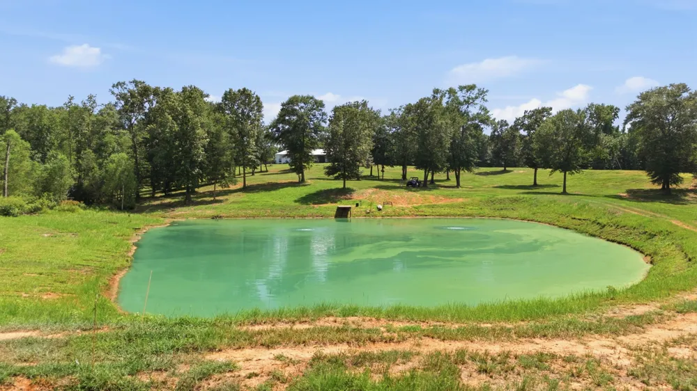 12842 Farm to Market 838 Overton, TX 75684