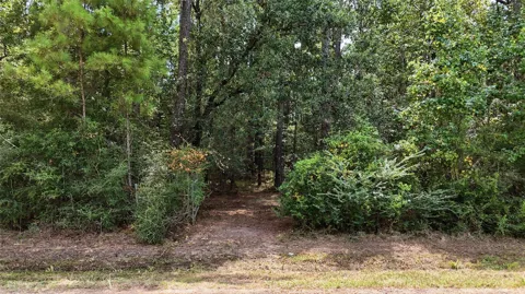 126 County Road 126