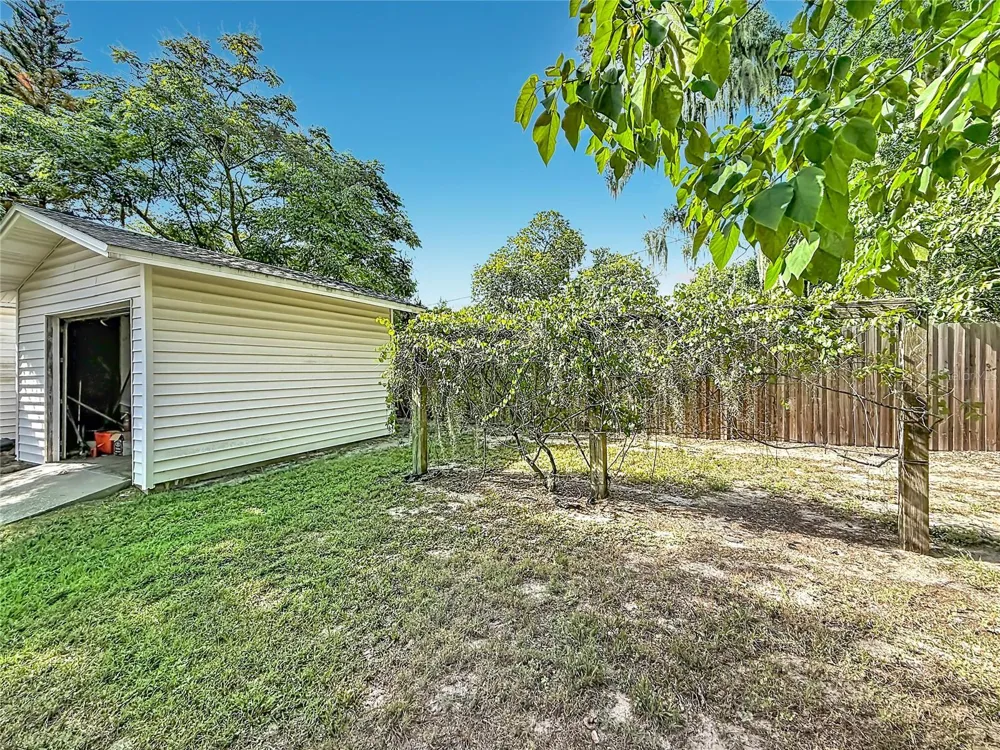 3271 ROBINSON STREET Zellwood, FL 32798